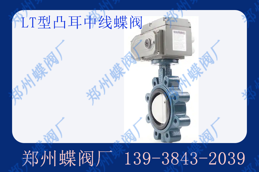 凸耳蝶閥的凸耳有哪些類型？